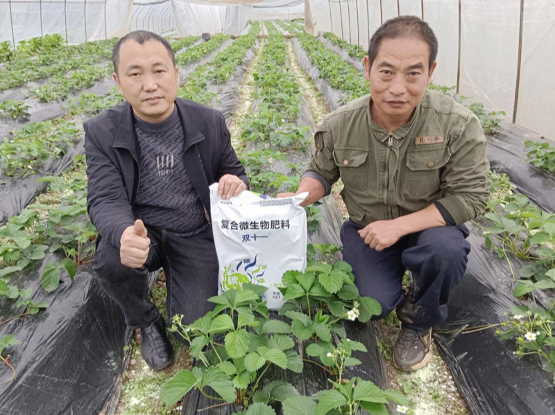 土壤板结的原因及解决办法-双十一复合微生物肥料.png